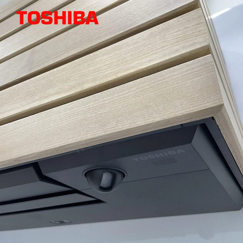 Toshiba Daiseikai 10 wood 2,5kW 